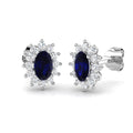 SE6651 — Earrings - 9k White Gold