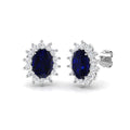SE6689 — Earrings - 9k White Gold